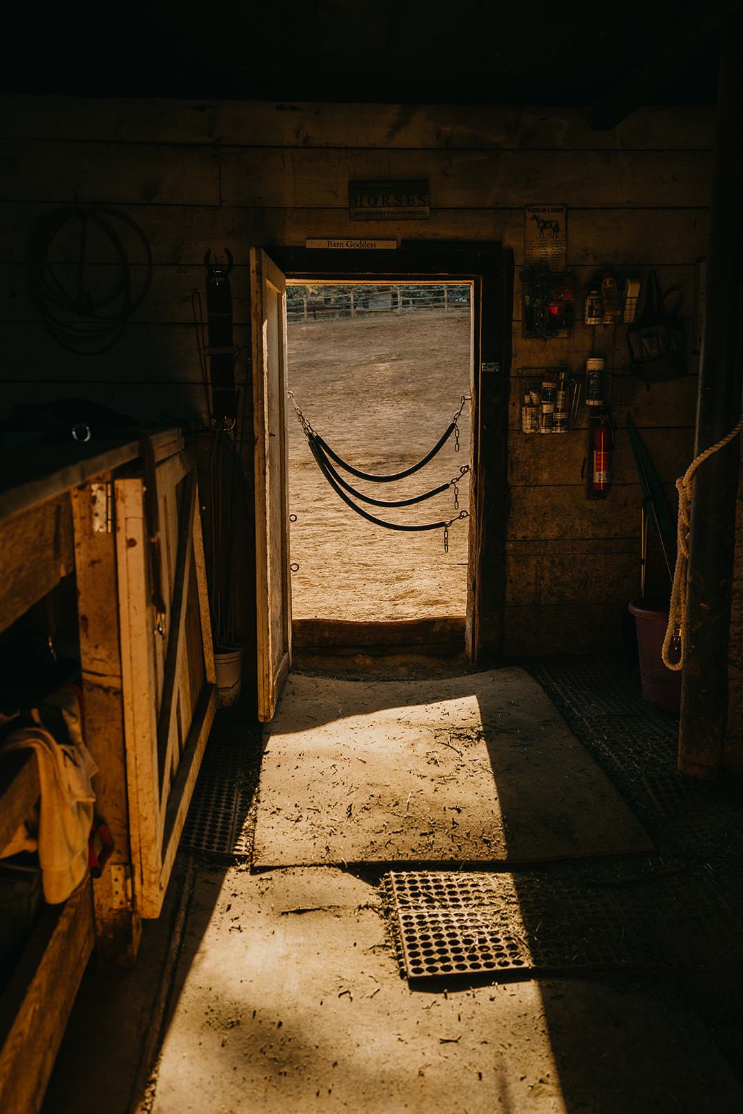 equine therapy branding photos of barn door in morning sunlight.