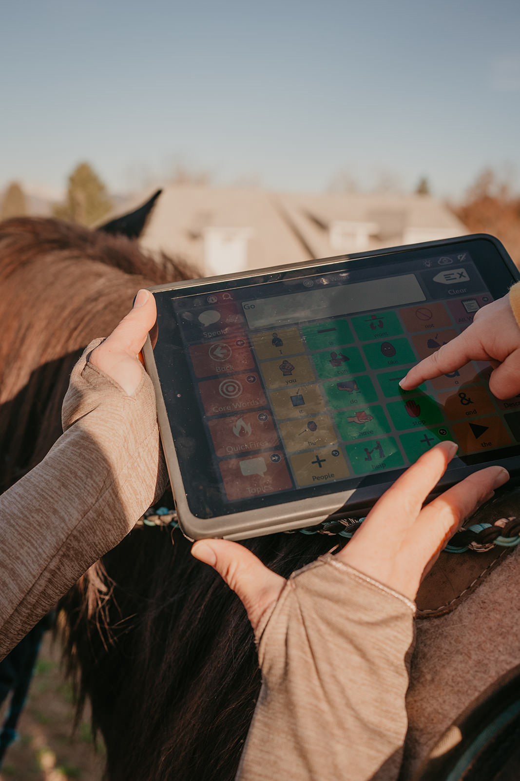 equine therapy branding photos of child using speech touch screen.