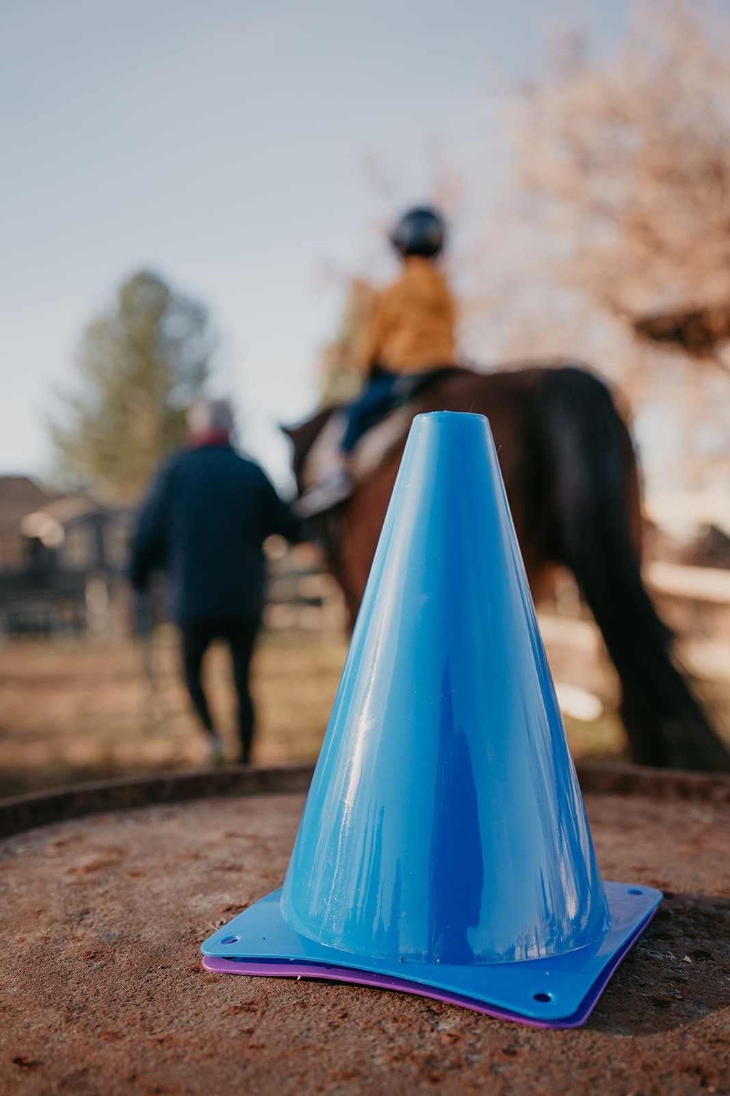 equine therapy branding photos of blue cone used in therapy.