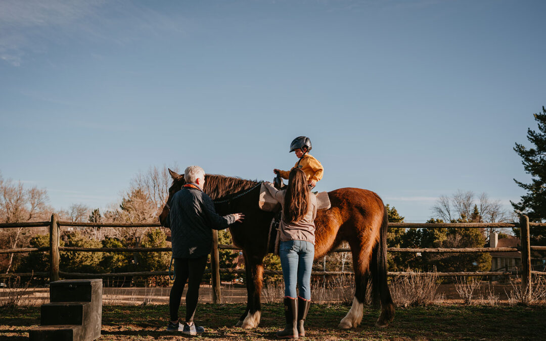 The Equine Impact