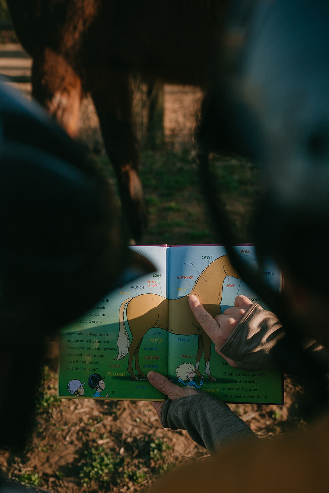 equine therapy branding photos of children's book.