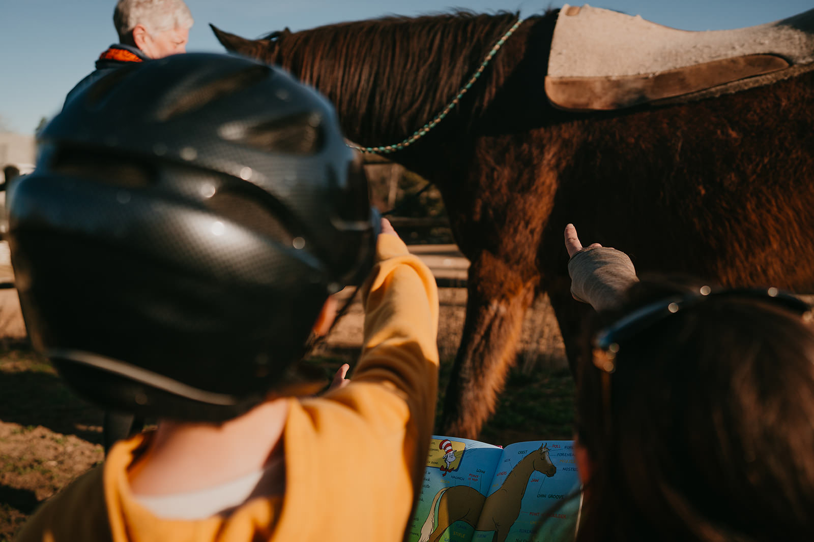 equine therapy branding photos of child using book to point at horse.