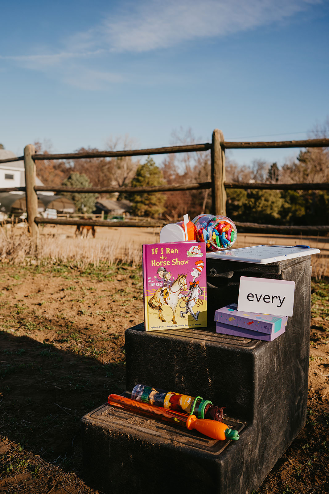 equine therapy branding photos of therapy modalities on step stool for children.