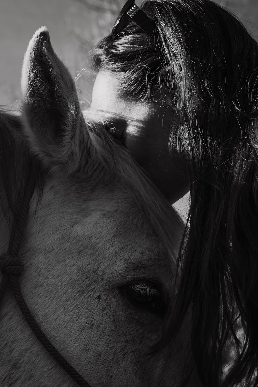 equine therapy branding photos of intimate horse connection.