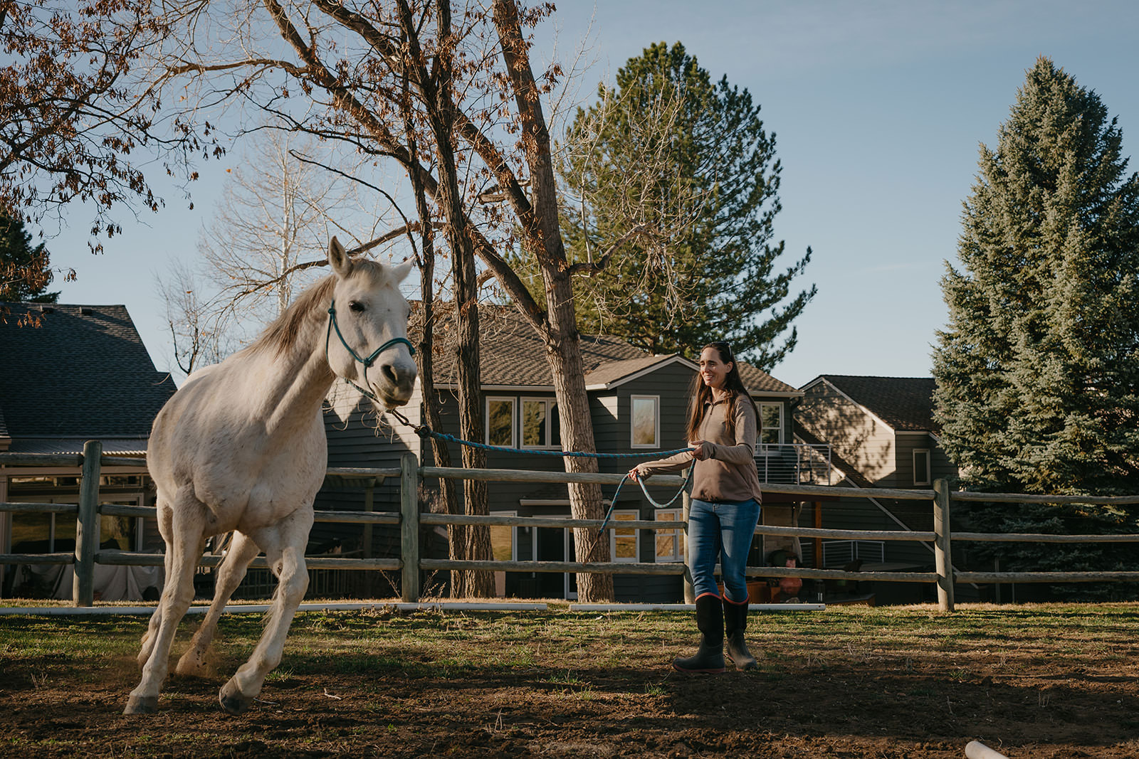 equine therapy branding photos of horse trotting.
