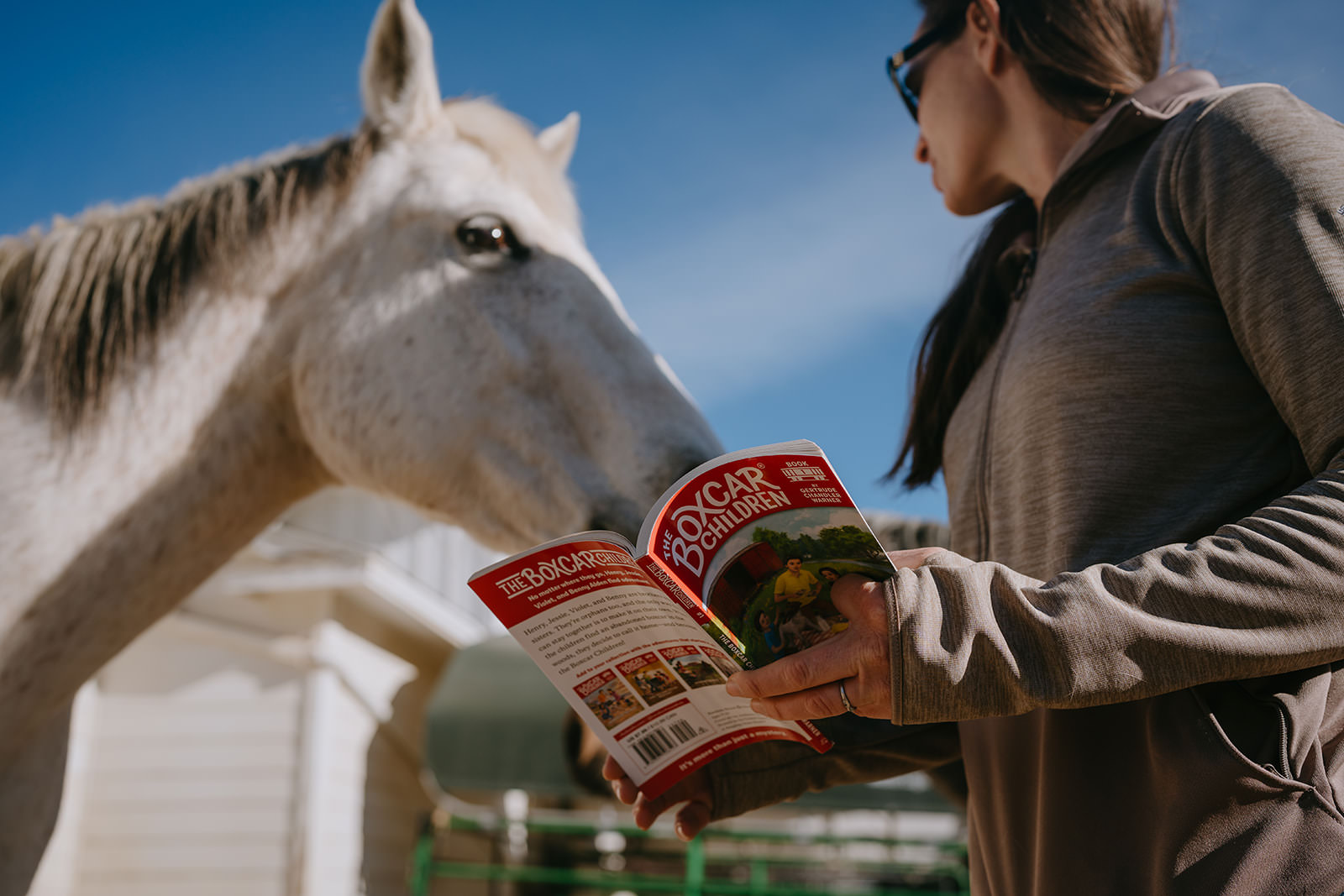 equine therapy branding photos of horse interested in book.