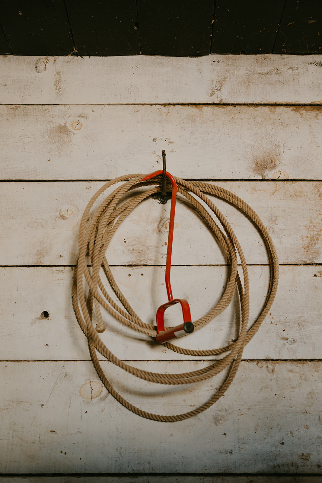 equine therapy branding photos of rope.
